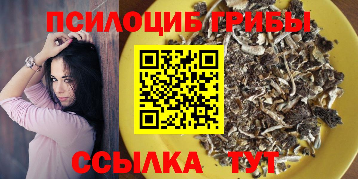 Галлюциногенные грибы Psilocybe  Вход с VPN  Белогорск 